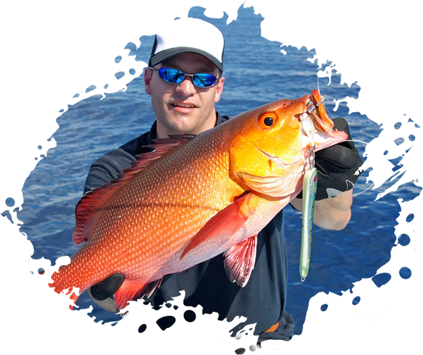 华体会围绕华体会网页版不断创新，回应用户的真实需求。异国情调 Fishinizerry - 华体会